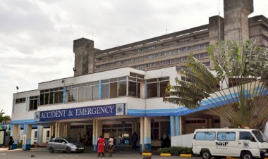 2 Largest Hospitals in Kenya