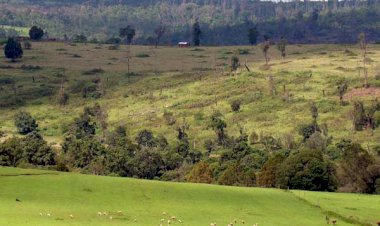 How You Can Monetize Idle Land in Kenya