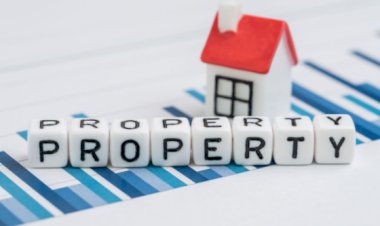 Why You Need Property Insurance