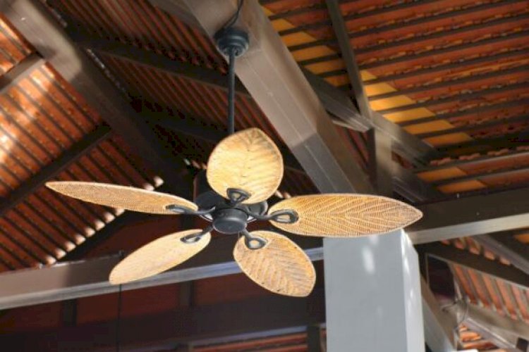 Acquiring ceiling fans for the warmer seasons.