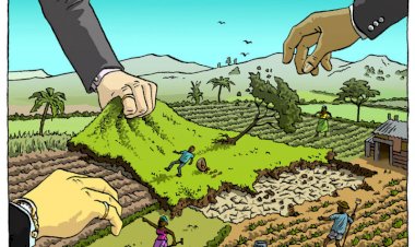Real Estate Development and Land Grabbing