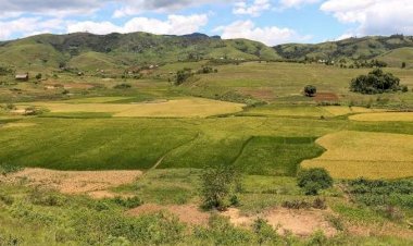 'Vishoka' Hawatambui Sheria za Ardhi Nchini Tanzania