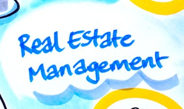What is Real Estate Management?
