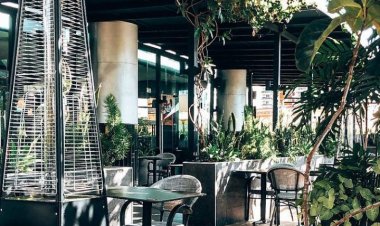 What Your Nairobi Coffee Shop Says About You