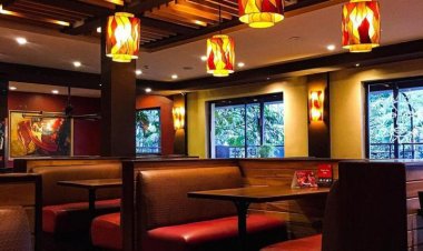 Types of Ceiling Boards