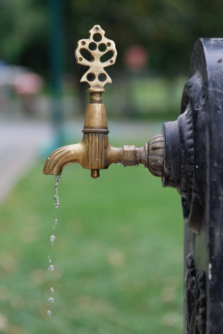 Basic Tips: 5 Ways to Prevent Expensive Plumbing Issues