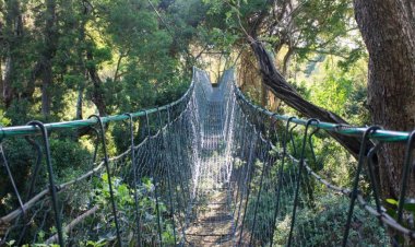 Fun Activities Kenyan Parks Offer