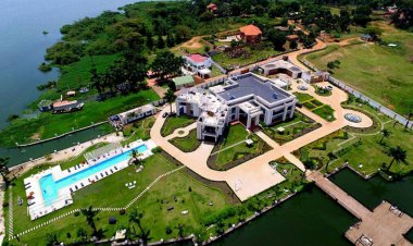 Of Ham and His House