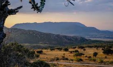 How One Can Acquire Land in Tanzania