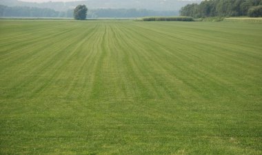 What One Needs to Know About Land Ownership in Ghana