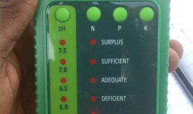 Serikali  Imeanza Kupima Afya ya Udongo Nchini Tanzania