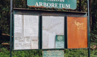 You Need KSh 65 as Entry Fee to the Nairobi Arboretum