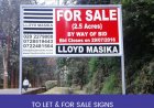 John Lloyd and David Masika the Brand Names Behind Lloyd Masika