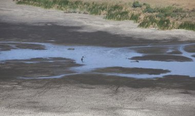 Waziri Aweso Ageuka Mbogo Mradi Hewa wa Bwawa la Zaidi ya Milioni 600