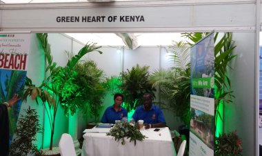 Green Heart of Kenya: Kilifi’s Nature Hub