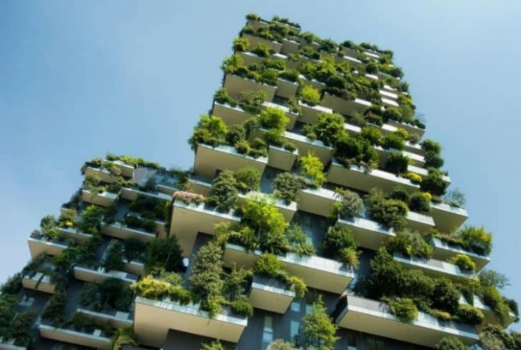 What You Need to Know About Green Buildings For Sustainable Future