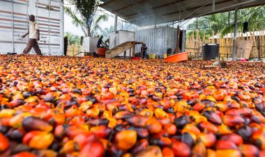 4 Benefits of Using Technology in Real Estate Farming