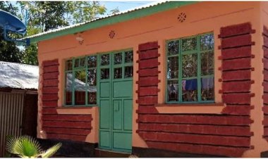Kenyan Man Builds Modern House Using University Fees Loan