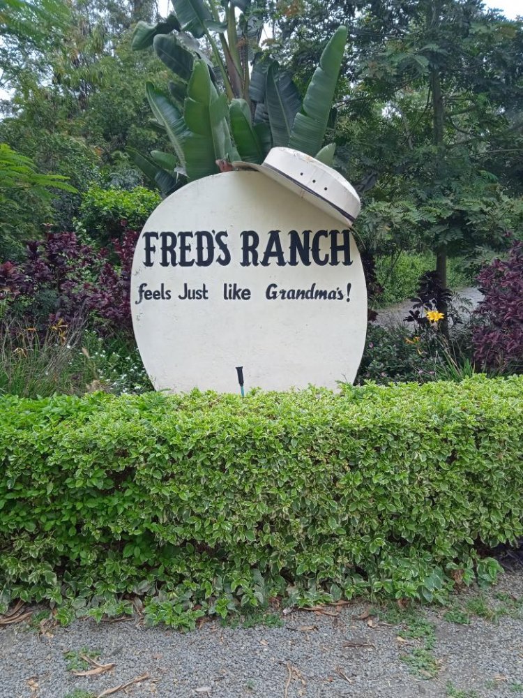 Inside Fred Obachi Machoka's Ranch in Kajiado County