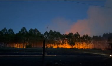 Intruders Set on Fire Kenya's Former President Uhuru's Family Farm, Northlands