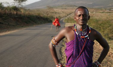 Does the Law Recognize Tribal Law Rights of Indigenous People in Kenya?
