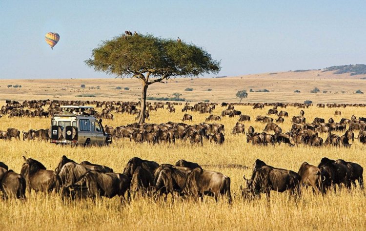 7 Places with Unique and Beautiful Landscapes in Kenya [PHOTOS]