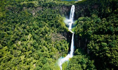 Travel Diaries: Places to Visit in Naivasha