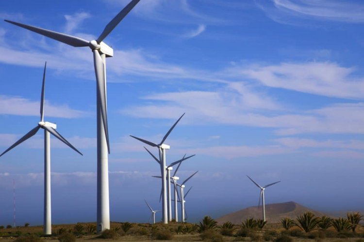 Impact of Wind Farms in Kenya