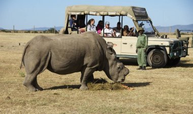 Travel Diaries: Places to Visit in Nanyuki