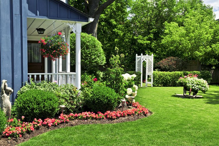 7 Ways to Improve Your Home's Curb Appeal