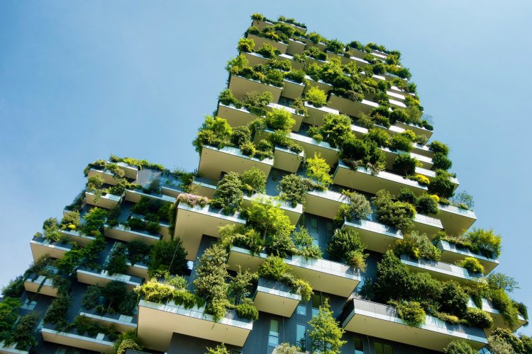 Building a Sustainable Future: The Rise of Green Building Societies in Real Estate