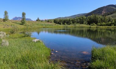 Understanding Water Rights in Real Estate Transactions in Kenya