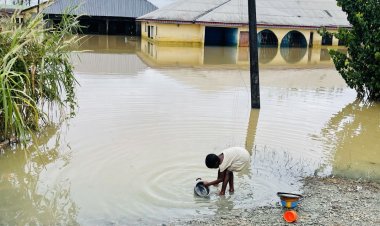 4 Ways Cities Can Manage Rainwater to Avoid Floods
