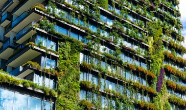 Green Building Certifications and Their Importance in Kenya