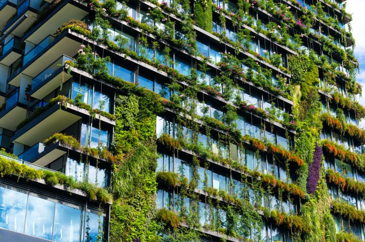Urgent Call for Green Buildings in African Cities to Tackle Climate Challenges