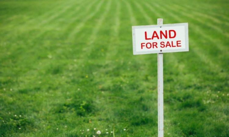 Top 5 Places to Buy Land in Kenya