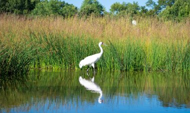 World Wetlands Day 2024