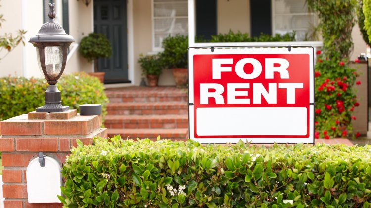 Maximizing Rental Income: 12 Strategies for Setting the Right Rent and Minimizing Vacancies