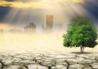 Navigating Climate Change: The Impact on Real Estate Values and Investment