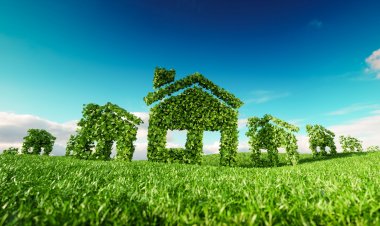 Why Environment is a Major Factor in Real Estate