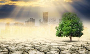Navigating Climate Change: The Impact on Real Estate Values and Investment
