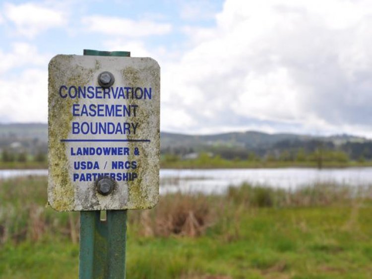 Understanding Conservation Easements and Their Impact on Real Estate