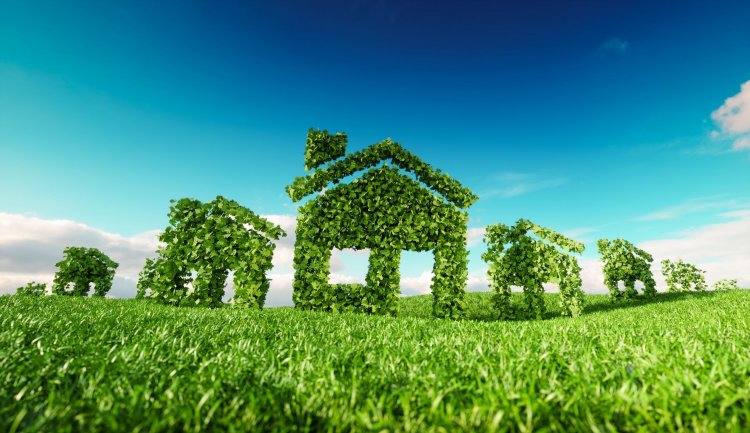 Why Environment is a Major Factor in Real Estate