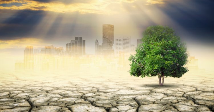 Navigating Climate Change: The Impact on Real Estate Values and Investment